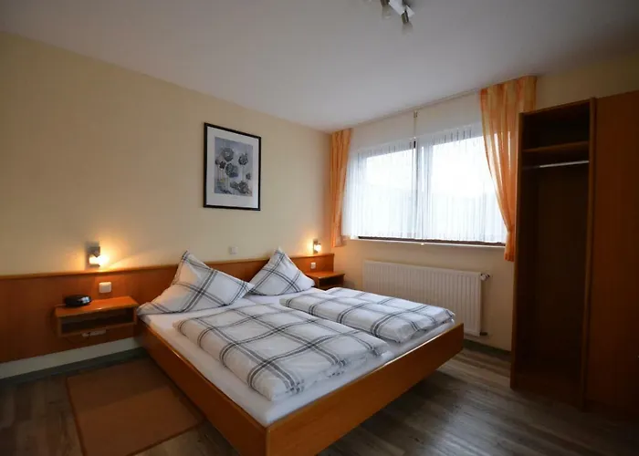 Weingut***pension Günther Scholtes Leiwen